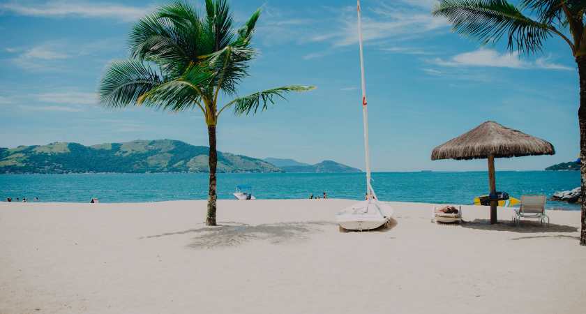 Beach with palm trees